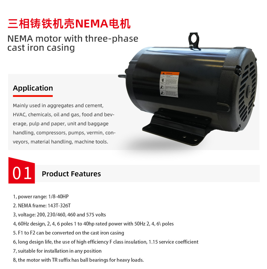 三相铸铁机壳NEMA电机_01.jpg