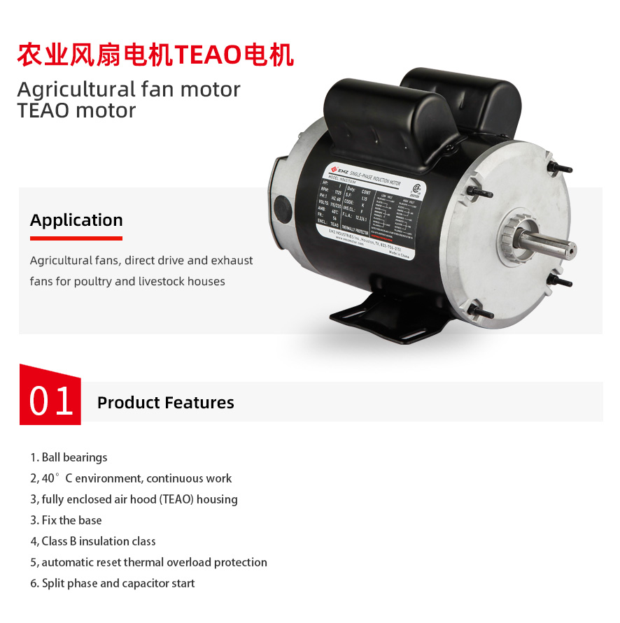 TEAO_01.jpg